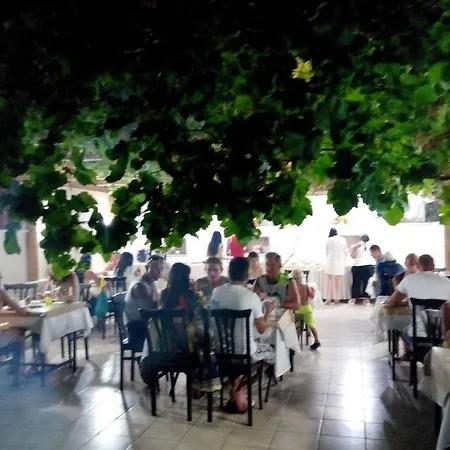 호텔 클레오파트라 사하라 3*